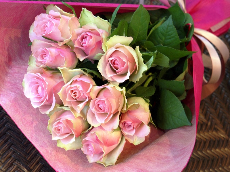 ピンク薔薇１０本の花束 シャムロック イーフローラ フラワーギフトや花の宅配 送料無料も多数