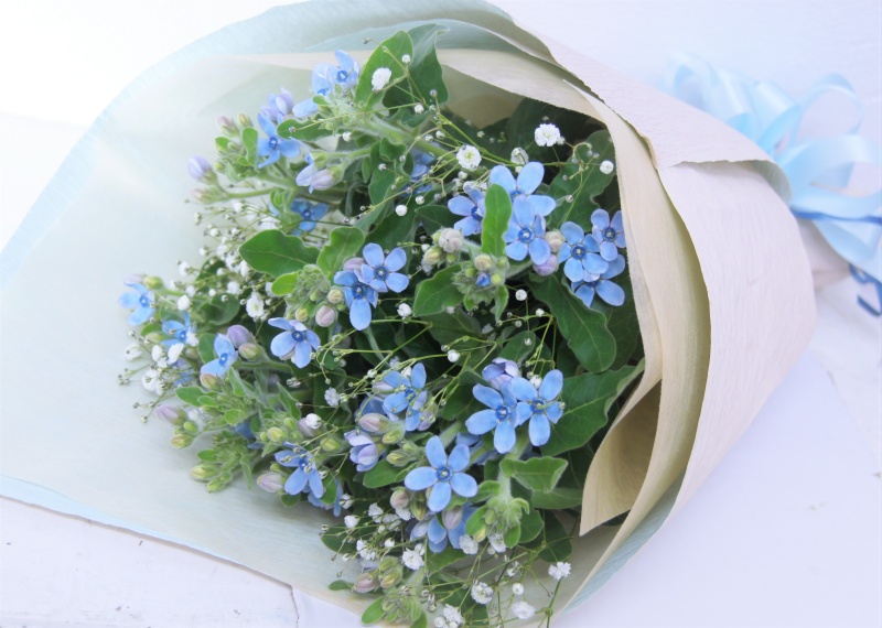 ブルースターとかすみ草の花束 ａｓｔｉｎａ イーフローラ フラワーギフトや花の宅配 送料無料も多数