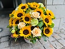 HAPPY SUNFLOWER!!(*^^*)AW c搼ĉԉu`vt[Mtg₨Ԃ̑zȂC[t[