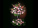 yX^hԁz؂₩2i [Pink]
