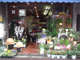 プレゼントにもおすすめ 蒲田にある素敵なお花屋さんをご紹介 Pathee パシー