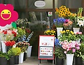 「ＦＬＯＷＥＲ・ＳＨＯＰ 笑華」文京区小石川のお花屋さん｜花を贈るならお花屋さんネットワーク「イーフローラ」