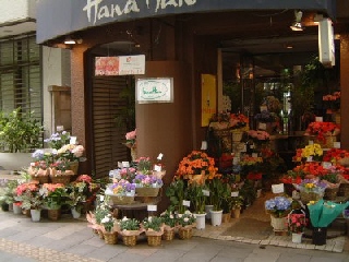 調布駅でおしゃれなお花屋さん6選 贈り物にも自宅用にもおすすめ Pathee パシー