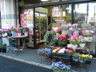 母の日などの記念日におすすめ さいたま新都心にある素敵なお花屋さんを紹介 Pathee パシー