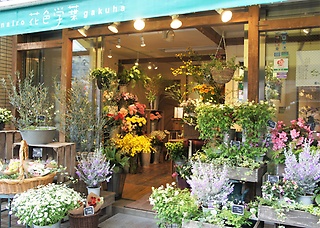 フラワーショップ 花色学葉 文京区根津のお花屋さん イーフローラ フラワーギフトや花の宅配 送料無料も多数