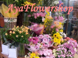 彩フラワーショップ 練馬区中村南のお花屋さん イーフローラ フラワーギフトや花の宅配 送料無料も多数