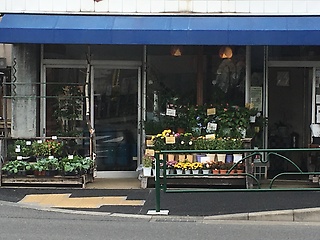 ツチヤ生花店 町田市中町のお花屋さん イーフローラ フラワーギフトや花の宅配 送料無料も多数