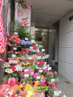 フルール 杏樹 新宿区四谷のお花屋さん イーフローラ フラワーギフトや花の宅配 送料無料も多数