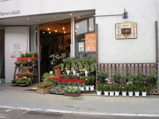 ｃｏｅｕｒ 世田谷区北沢のお花屋さん お店の紹介 イーフローラ フラワーギフトや花の宅配 送料無料も多数