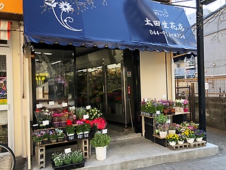 登戸の花屋さん全7店 便利な駅前店やアレンジオーダーできる店も Shiori