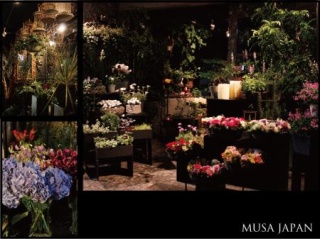ムサ ジャパン 横浜市中区新山下のお花屋さん イーフローラ フラワーギフトや花の宅配 送料無料も多数