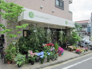 有限会社 出川生花 川崎市川崎区渡田のお花屋さん イーフローラ フラワーギフトや花の宅配 送料無料も多数