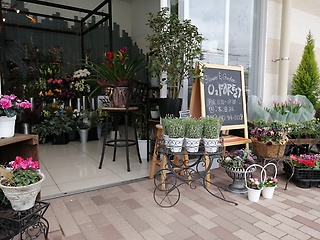 ｆｌｏｗｅｒ ｇａｒｄｅｎ ｏ２ ｆｏｒｅｓｔ 相模原市中央区共和のお花屋さん イーフローラ フラワーギフトや花の宅配 送料無料も多数