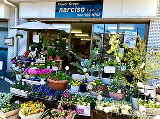 ｎａｒｃｉｓｏ 川崎市川崎区池田のお花屋さん イーフローラ フラワーギフトや花の宅配 送料無料も多数