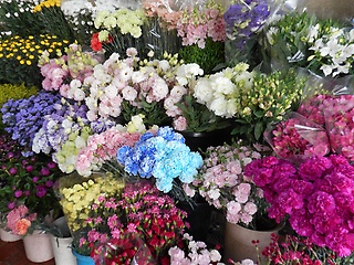 有限会社 花越 横須賀市池上のお花屋さん イーフローラ フラワーギフトや花の宅配 送料無料も多数