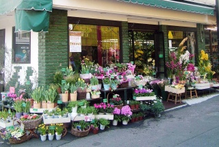 白楽花園 横浜市神奈川区白楽のお花屋さん イーフローラ フラワーギフトや花の宅配 送料無料も多数