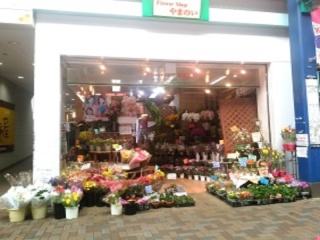 フラワーショップやまのい 横浜市港南区上大岡西のお花屋さん お店の紹介 イーフローラ フラワーギフトや花の宅配 送料無料も多数