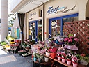 「フローリスト 花だより」横浜市磯子区杉田のお花屋さん｜花を贈るならお花屋さんネットワーク「イーフローラ」
