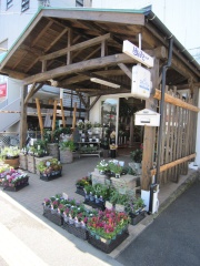 フラワーショップはなまさ 二宮店神奈川県中郡二宮町二宮のお花屋さん