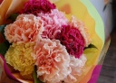 Cute Carnation Bouquet