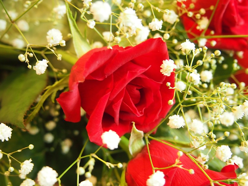 Ardent Love 8.0 bouquet ver.bԉuԂ̕Gv̂