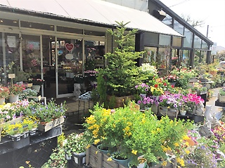 花屋 ｅｎｊｙｕ 横浜市戸塚区汲沢町のお花屋さん イーフローラ フラワーギフトや花の宅配 送料無料も多数