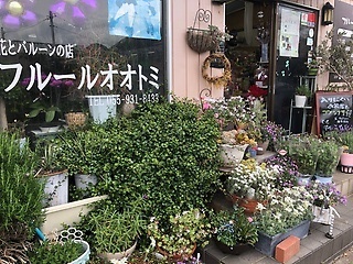 フルールオオトミ 沼津市下香貫西村のお花屋さん イーフローラ フラワーギフトや花の宅配 送料無料も多数