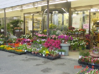 フラワーシヨップ のなか 浜松市東区白鳥町のお花屋さん イーフローラ フラワーギフトや花の宅配 送料無料も多数