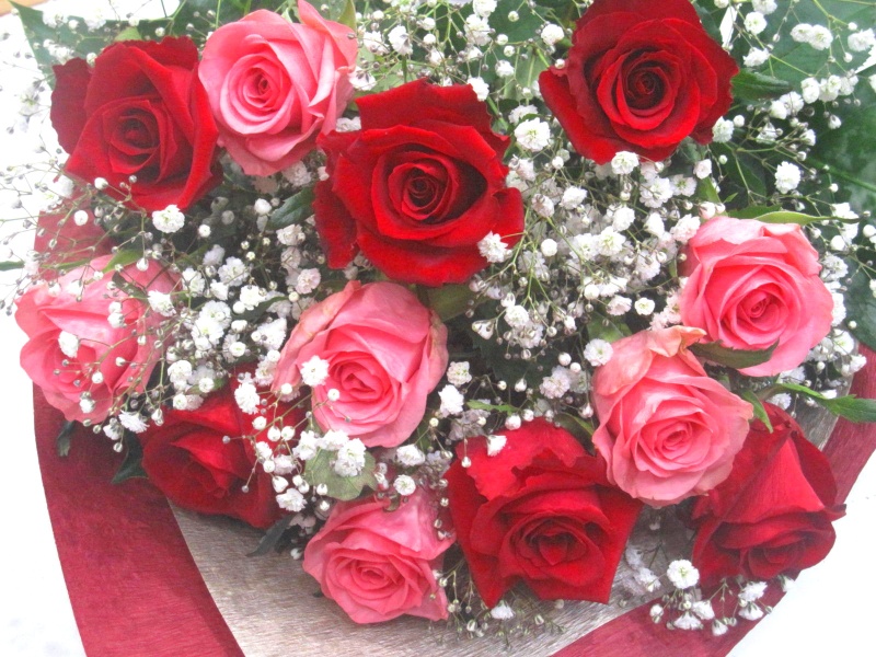 ピンクバラと赤いバラ 合計12本 とかすみ草の花束 株式会社 花樹園 イーフローラ フラワーギフトや花の宅配 送料無料も多数
