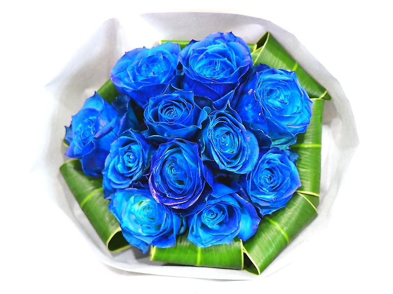 花言葉 最愛 青いバラ11本のブーケ 株式会社 花樹園 イーフローラ フラワーギフトや花の宅配 送料無料も多数