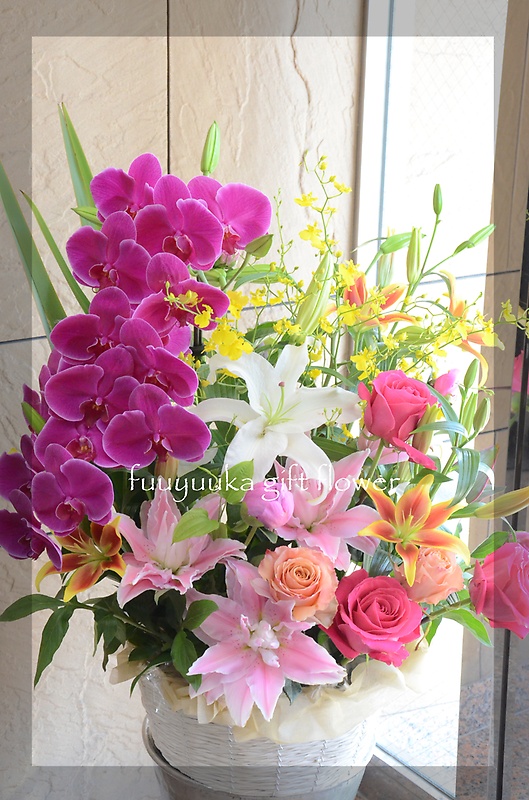 祝花　胡蝶蘭の入った華やかなアレンジメント｜お花屋さん「風遊花」の母の日のお花