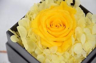 【プリザブドフラワー】flower box..yellow