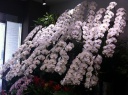 「ＨＡＮＡＴＯＫＩ」名古屋市中区栄のお花屋さん｜花を贈るならお花屋さんネットワーク「イーフローラ」