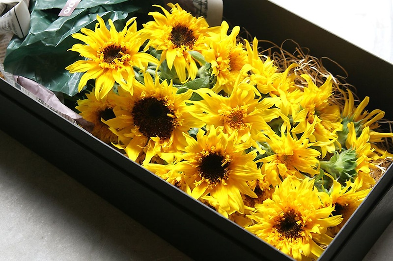 Sunflower Box Bouquet | q}{bNXu[Pbԉujf v̂