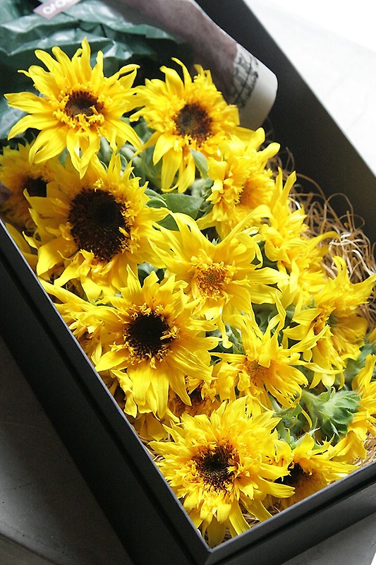 Sunflower Box Bouquet | q}{bNXu[Pbԉujf v̂