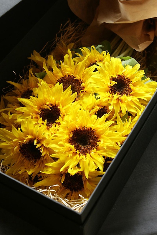 Sunflower Box Bouquet | q}{bNXu[Pbԉujf v̂