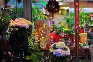 花の店 樹風花 名古屋市名東区高針台のお花屋さん イーフローラ フラワーギフトや花の宅配 送料無料も多数