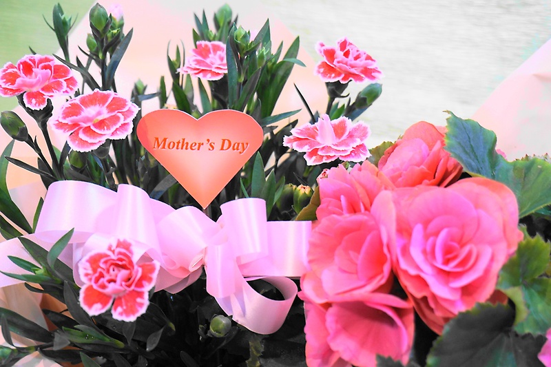 u[oXPbg`Mother's Day`bԉu zԗv̓̂̕