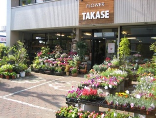 ｆｌｏｗｅｒ ｔａｋａｓｅ 名古屋市北区中味鋺のお花屋さん イーフローラ フラワーギフトや花の宅配 送料無料も多数