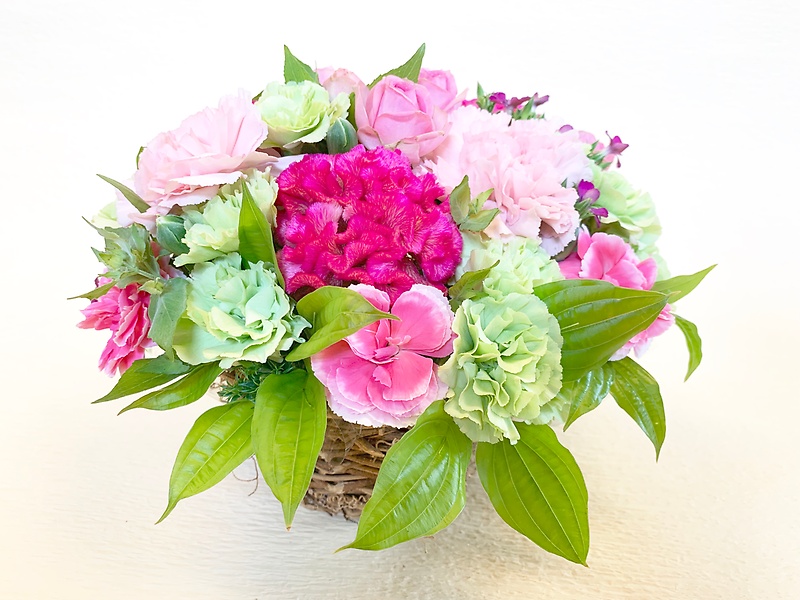ピンクサファイア「flower TAKASE」｜【イーフローラ】フラワーギフトや花の宅配、送料無料も多数