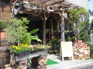 「花の木の実」愛知県名古屋市緑区