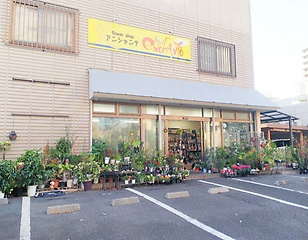 フラワーショップ アンシャンテ 刈谷市広小路のお花屋さん イーフローラ フラワーギフトや花の宅配 送料無料も多数