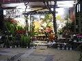 「フラワー＆グリーンショップ マルヤス」名古屋市西区上名古屋のお花屋さん｜花を贈るならお花屋さんネットワーク「イーフローラ」