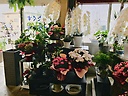 「西花園」西尾市上町のお花屋さん｜花を贈るならお花屋さんネットワーク「イーフローラ」