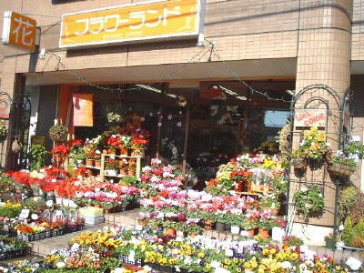 フラワーランド 日進市栄のお花屋さん イーフローラ フラワーギフトや花の宅配 送料無料も多数