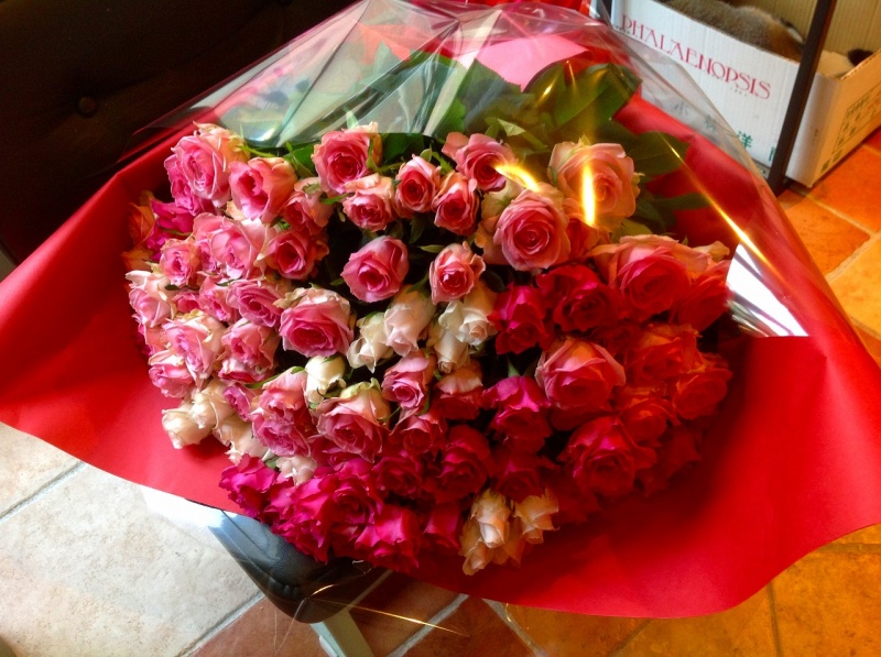 ROSE@ohmj@qnrdrbԉukhk`b `udmtdfXPv̂