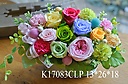 K17083CLP*colorfuldrops華やかピンク