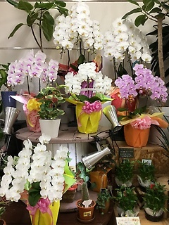 お花屋さんＬｅａｆ（リーフ）滋賀県彦根市大東町のお花屋さん