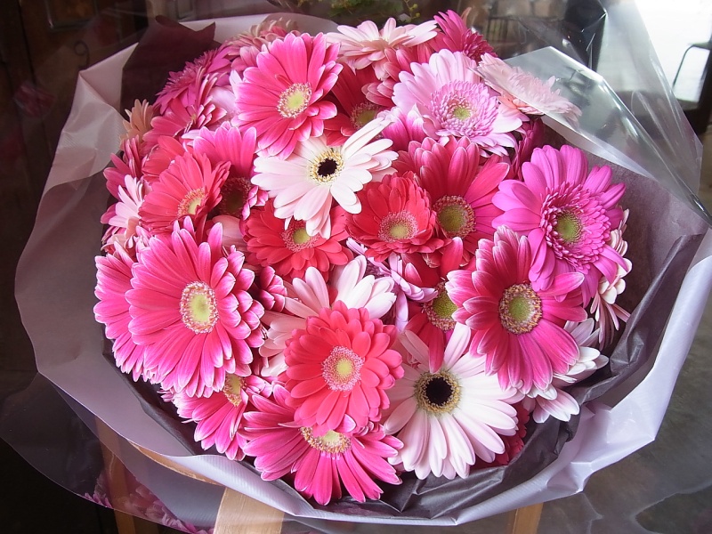ガーベラいっぱいの花束 ピンク ｂｌｏｗｍｉｓｔ ｂｏｏｍ イーフローラ フラワーギフトや花の宅配 送料無料も多数