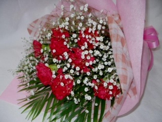真っ赤なカーネーションとカスミソウの華やかな花束